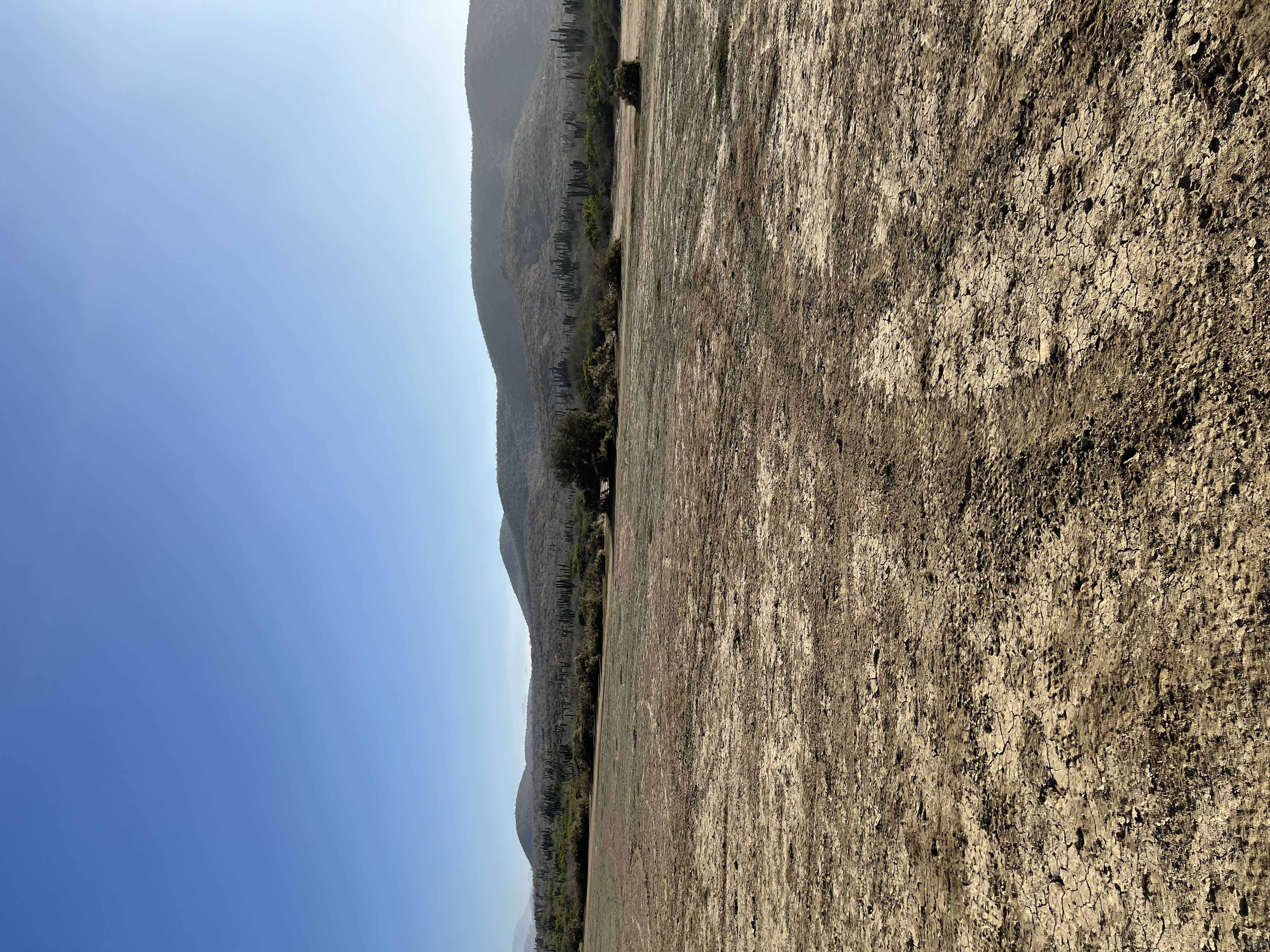 ./2024/13 - Cabo/IMG_4379.jpg